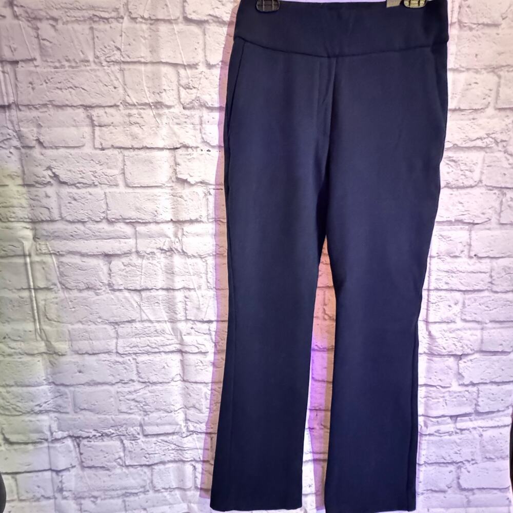 Express Heavy Weight, Thick Blue Women’s Pants - size Small